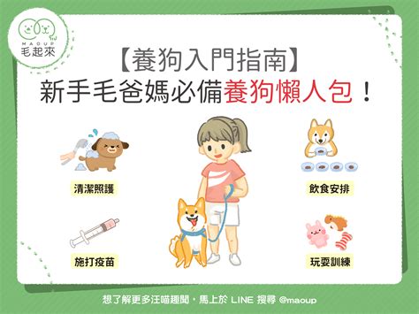 什麼動物可以養|【2024】最多人養的寵物種類有哪些？三分鐘瞭解你。